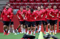 开云体育入口-匈牙利迎战阿尔巴尼亚，展开激烈较量2025