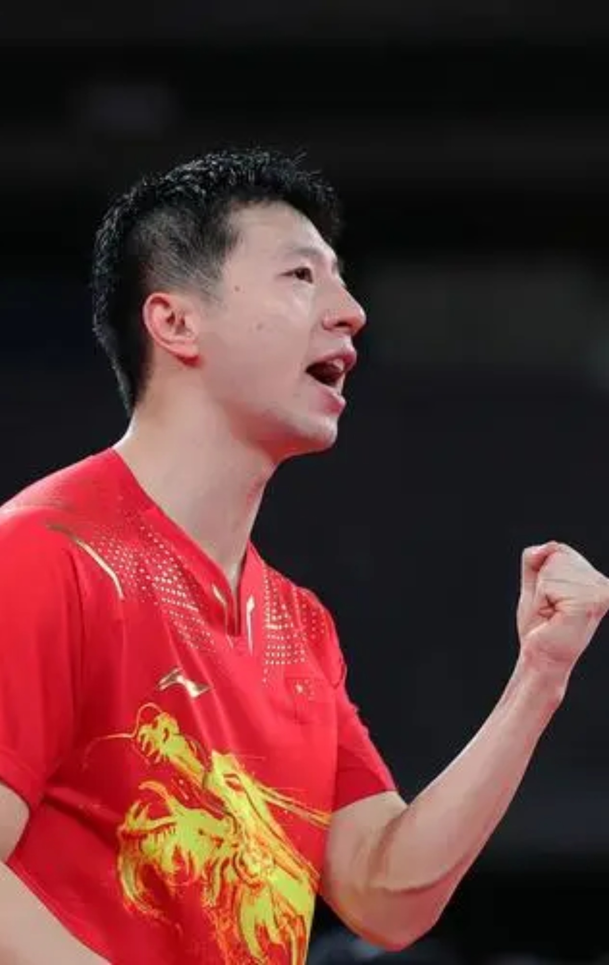 法国乒乓球队翻盘中国乒乓球队，马龙高光表现的简单介绍