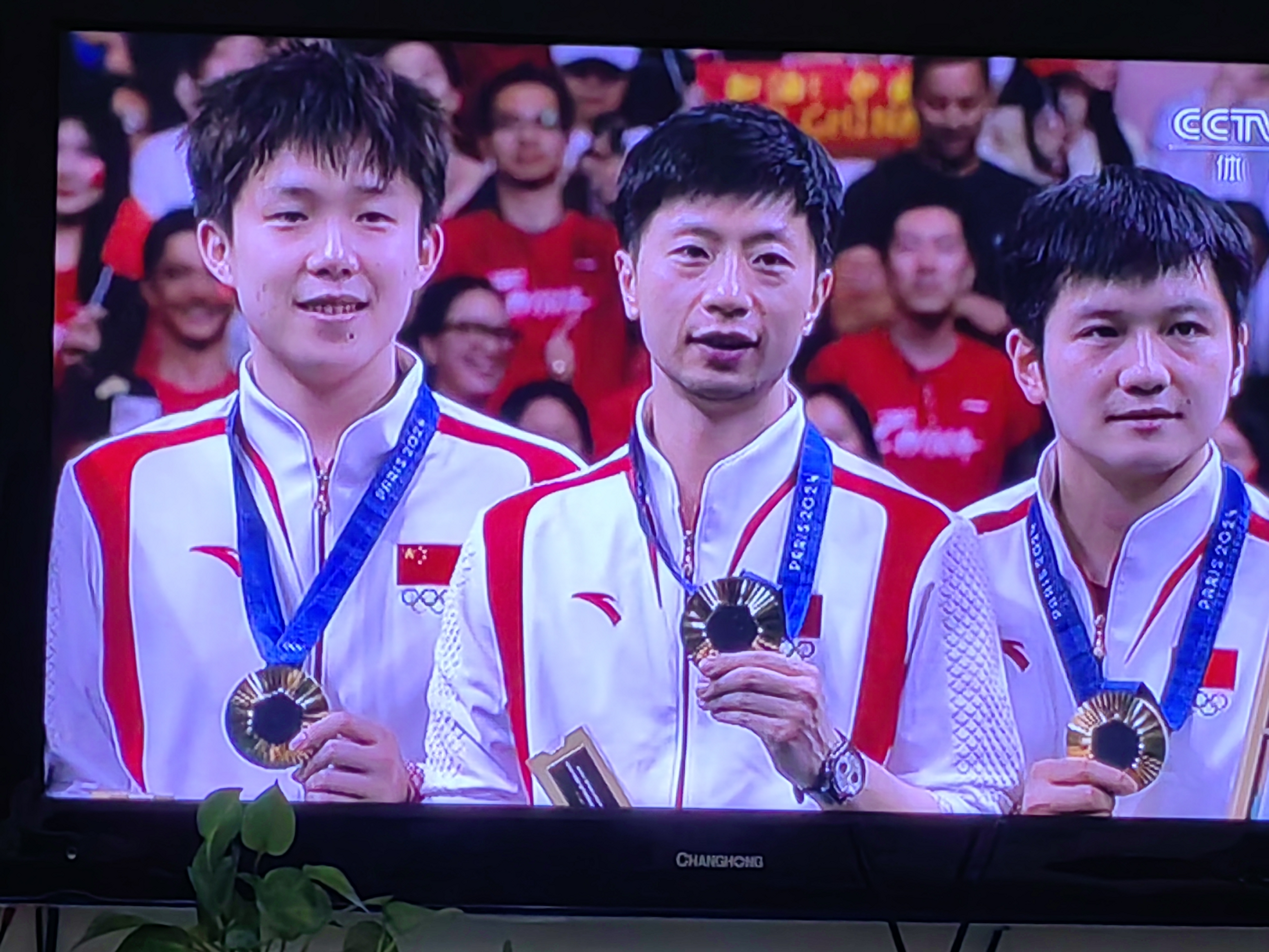 瑞典队力克法国队,马龙惊艳四座的简单介绍 瑞典队力克法国队,马龙惊艳四座的简单介绍