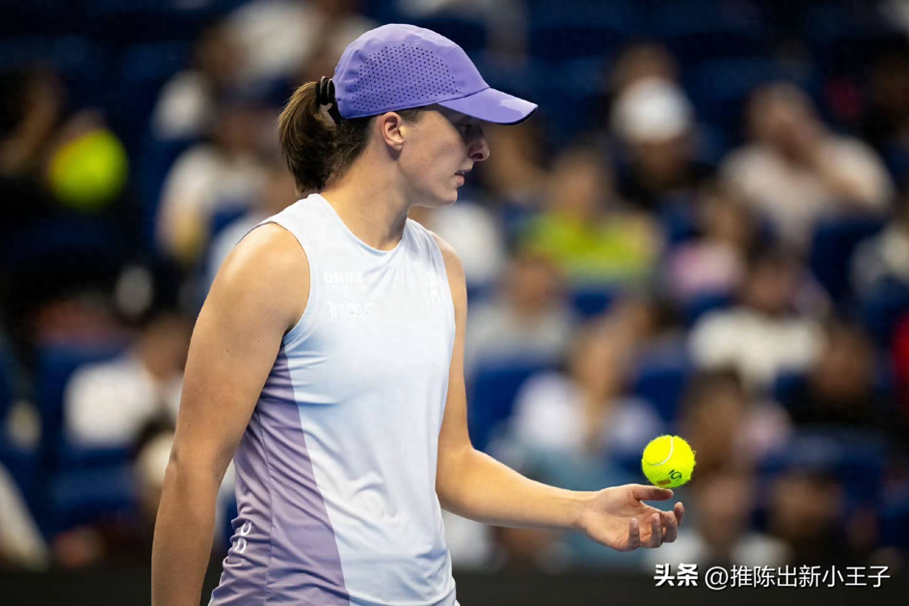 包含温网碾压ATP总决赛，蒂姆关键制胜的词条